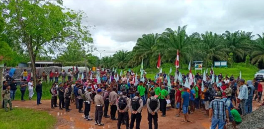 Koordinator KSBSI Kalteng Turun Gunung, Pimpin Ratusan Buruh Demo PT. MSAL